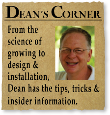 Deans Corner