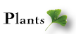 Plants